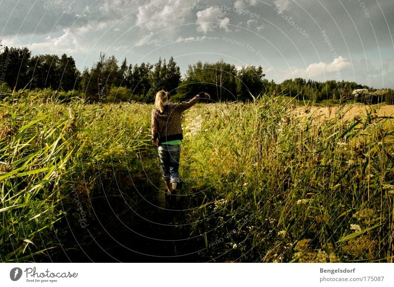 Finland Freizeit & Hobby Ferien & Urlaub & Reisen Ausflug Ferne Freiheit Sommer Sommerurlaub wandern Mensch Junge Frau Jugendliche 1 Natur Himmel Wolken