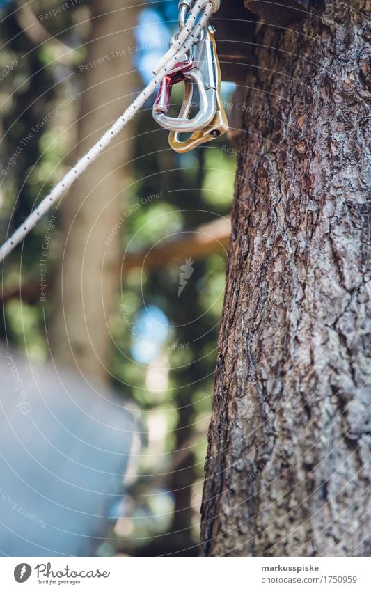 Kletterpark Karabiner Lifestyle Freizeit & Hobby Spielen Kinderspiel Klettern Kletterwand kletterpark hochseilgarten Ausflug Abenteuer Sport Fitness