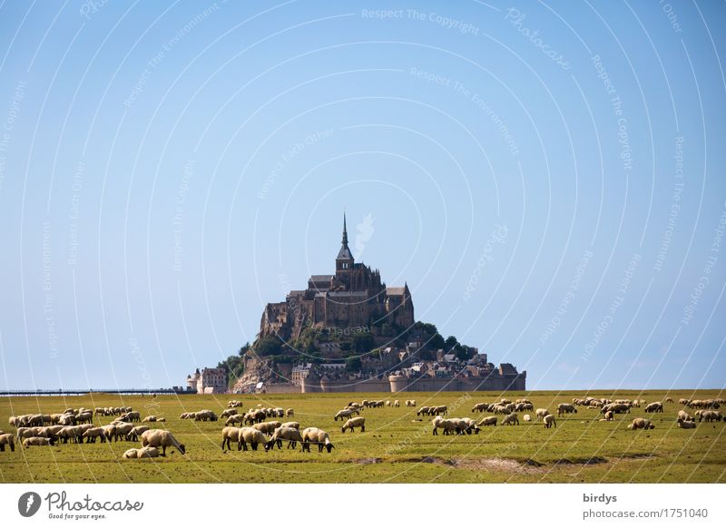 Mont Saint-Michel Ferien & Urlaub & Reisen Tourismus Sommerurlaub Natur Landschaft Wolkenloser Himmel Schönes Wetter Wiese Berge u. Gebirge Küste Insel