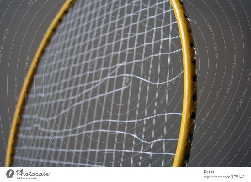 bad minton Farbfoto Innenaufnahme Nahaufnahme Detailaufnahme Menschenleer Textfreiraum links Textfreiraum rechts Hintergrund neutral Freizeit & Hobby Spielen