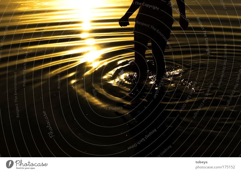 Ringe aus Gold Mensch Schwimmen & Baden gold Wellen genießen Ferien & Urlaub & Reisen See Meer Erholung Sommer Strand Farbfoto Außenaufnahme Dämmerung