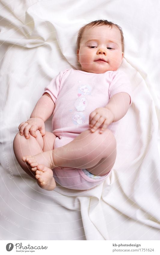 Baby girl on a blanket feminin Mädchen Familie & Verwandtschaft 1 Mensch 0-12 Monate weich rosa rein beautiful beauty birth boy camera child child education