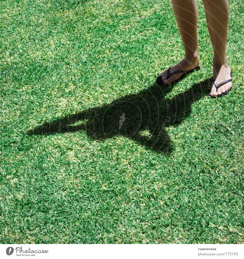 Farbfoto Detailaufnahme Tag Blick nach unten Erholung Sommer Sonne Mensch feminin Frau Erwachsene Beine Fuß 1 grün Schatten Garten Frauenbein Sandale Schwimmbad