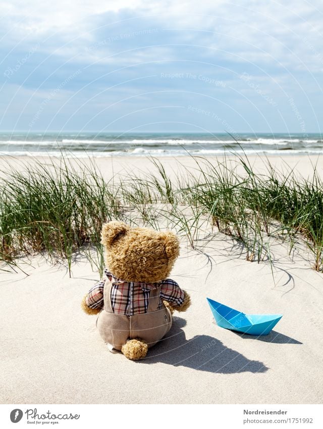 Sehnsucht nach Meer Ferien & Urlaub & Reisen Ferne Freiheit Sommer Sommerurlaub Sonne Sonnenbad Strand Wellen Natur Landschaft Urelemente Sand Wasser Wolken