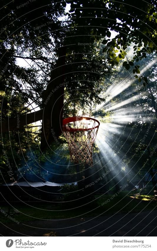 Perfektes Morgensportwetter Farbfoto Außenaufnahme Textfreiraum unten Morgendämmerung Tag Licht Schatten Kontrast Silhouette Lichterscheinung Sonnenlicht