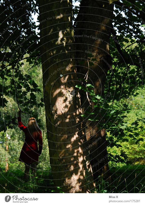 Rotkäppchen allein im Wald Farbfoto mehrfarbig Außenaufnahme Tag Dämmerung Schatten Sonnenlicht Blick nach hinten Wegsehen Ferien & Urlaub & Reisen Ausflug