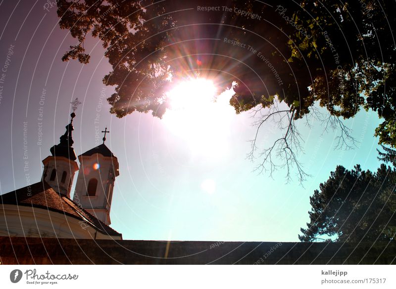 klosterfrau, melisse und ein bisschen geist Farbfoto Gedeckte Farben Außenaufnahme Tag Licht Schatten Kontrast Silhouette Reflexion & Spiegelung Sonnenlicht