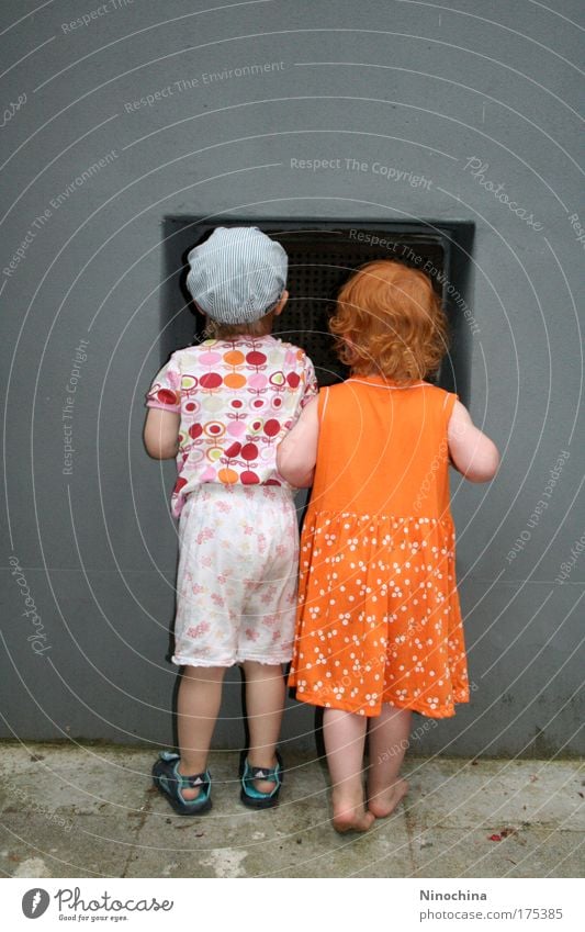 Beste Freunde Freude Spielen Kinderspiel Fenster Kindererziehung Wissenschaften Mensch Kleinkind Mädchen Junge Geschwister Bruder Schwester Freundschaft