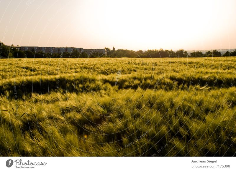 Kleinpestitz Farbfoto Außenaufnahme Menschenleer Tag Abend Dämmerung Sonnenlicht Gegenlicht Ferien & Urlaub & Reisen Ausflug Umwelt Natur Landschaft Himmel