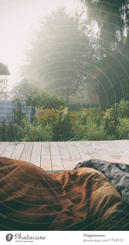 Draußen nächtigen Nacht Morgen Morgentau Dämmerung Früh Morgens aufwachen aufstehen Nebel Garten Ferien Urlaub Ferienhaus Camping Bettdecke Schlafzimmer Kissen