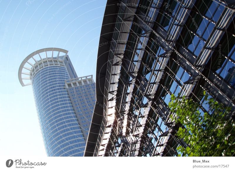 Frankfurt Skyline Hochhaus Gebäude Sommer Frankfurt am Main Architektur Blauer Himmel