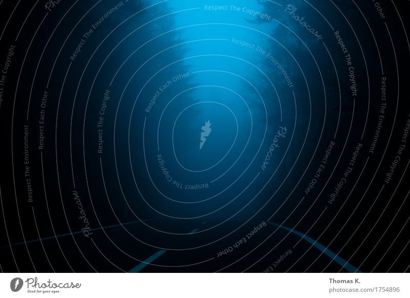 Fahrt ins Ungewisse Nebel Baum Wald Straße bedrohlich dunkel gruselig kalt nass blau Traurigkeit Sorge Trauer Tod Unlust Schmerz Enttäuschung Einsamkeit Angst