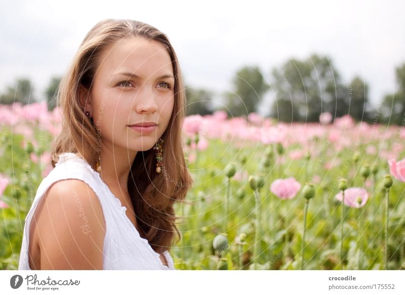 Mohnblume IV Farbfoto Außenaufnahme Textfreiraum rechts Tag Schwache Tiefenschärfe Zentralperspektive Porträt Oberkörper Vorderansicht Blick nach vorn Lifestyle