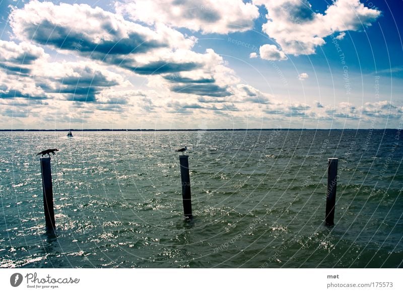 Alle guten Dinge sind drei Farbfoto Außenaufnahme Tag Starke Tiefenschärfe Weitwinkel Ferien & Urlaub & Reisen Sommer Sonne Meer Wellen Natur Luft Wasser Himmel