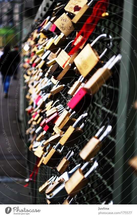 Brücke der Liebe Farbfoto Außenaufnahme Makroaufnahme Tag Schatten Starke Tiefenschärfe Zentralperspektive Glück Sightseeing Städtereise Köln Bahnhof