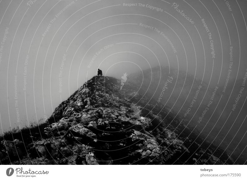 kein Laut Natur Landschaft Luft Hügel Felsen Alpen Berge u. Gebirge Gipfel Vulkan dunkel Nebel Einsamkeit Stillleben ruhig wandern Bergsteigen Allgäu Klettern