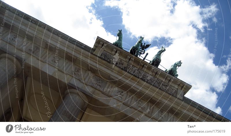 Untendrunter - mittendrin Farbfoto Außenaufnahme Tag Licht Schatten Silhouette Gegenlicht Froschperspektive Blick nach oben Kultur Himmel Wolken Berlin