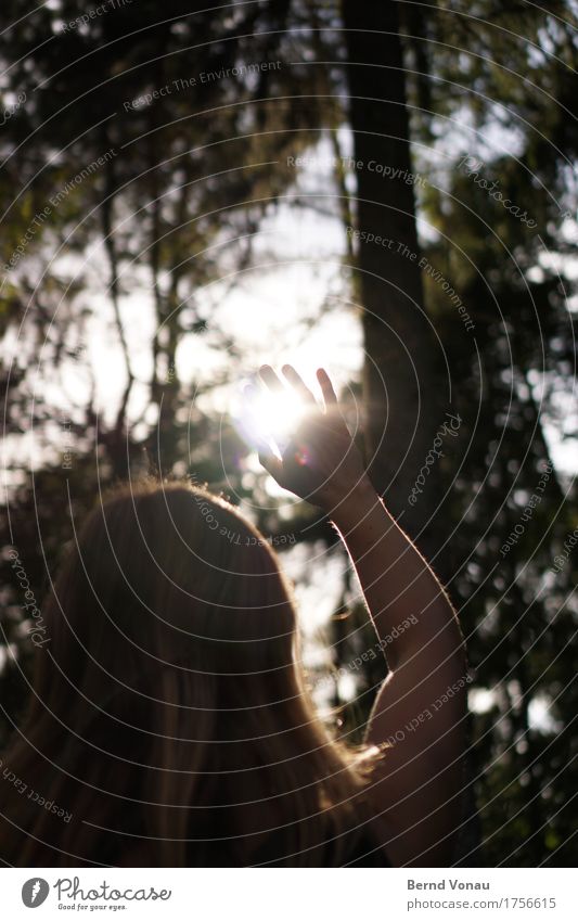 Oberlicht Mensch feminin Hand 1 30-45 Jahre Erwachsene Gefühle Stimmung Glaube blenden Wald Natur Spaziergang Himmel grell hell zudecken Haare & Frisuren Rücken