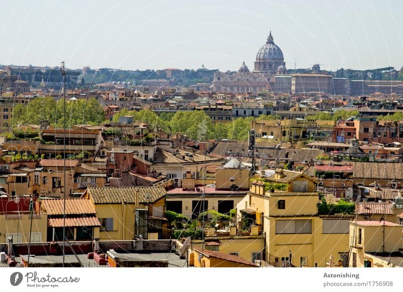 Rom mit Petersdom Umwelt Natur Himmel Horizont Pflanze Baum Italien Stadt Hauptstadt Skyline Haus Kirche Dom Turm Mauer Wand Fassade Balkon Fenster Tür Dach