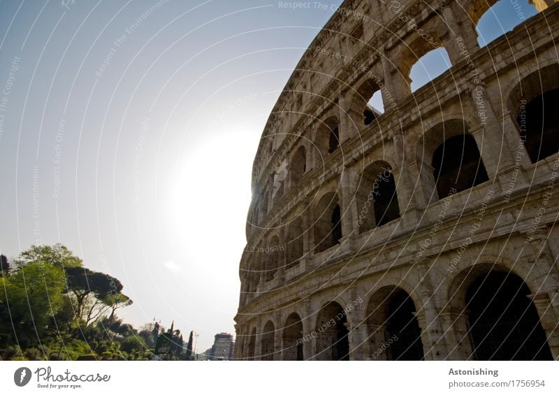 Arena Umwelt Natur Landschaft Himmel Horizont Sonne Sonnenlicht Frühling Wetter Schönes Wetter Pflanze Baum Sträucher Park Rom Italien Stadt Hauptstadt Tor