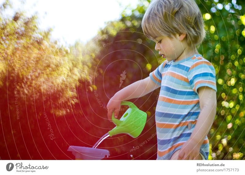 Sommerbeschäftigung Ferien & Urlaub & Reisen Mensch maskulin Kind Kleinkind Junge 1 1-3 Jahre Umwelt Natur Garten Gießkanne Spielen blond klein natürlich