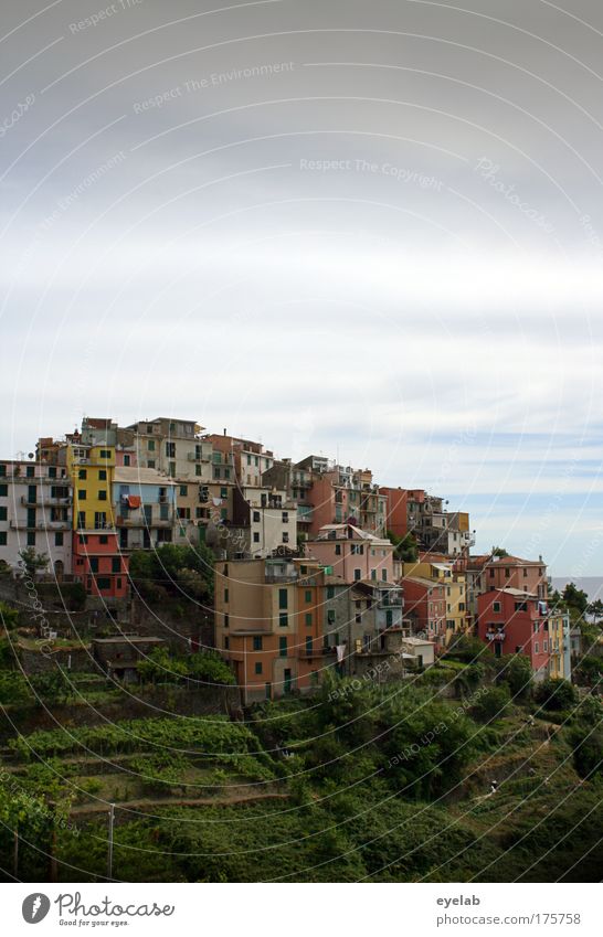 Corniglia Farbfoto mehrfarbig Außenaufnahme Menschenleer Textfreiraum oben Textfreiraum unten Tag Licht Zentralperspektive Totale Panorama (Aussicht) Weitwinkel