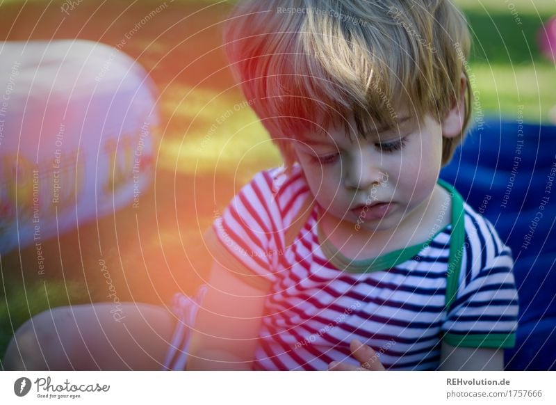 vertieft Freizeit & Hobby Spielen Mensch maskulin Kind Junge Gesicht 1 1-3 Jahre Kleinkind Umwelt Natur Garten T-Shirt beobachten sitzen außergewöhnlich klein