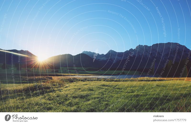 Guten morgen! Umwelt Natur Landschaft Sonnenaufgang Sonnenuntergang Frühling Sommer Schönes Wetter Alpen Berge u. Gebirge See leuchten frisch natürlich saftig