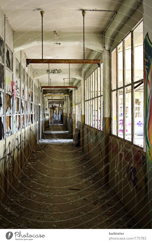 Geht alles seinen Gang Farbfoto Gedeckte Farben Innenaufnahme Menschenleer Industrie Leipzig Industrieanlage Fabrik Gebäude Fenster Flur Fluchtpunkt Lampe alt