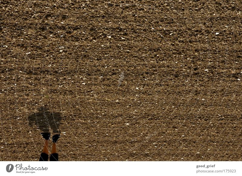 sie kommen! Farbfoto Außenaufnahme Textfreiraum rechts Textfreiraum oben Tag Lichterscheinung Sonnenstrahlen maskulin Junge Mann Erwachsene 1 Mensch Kunst