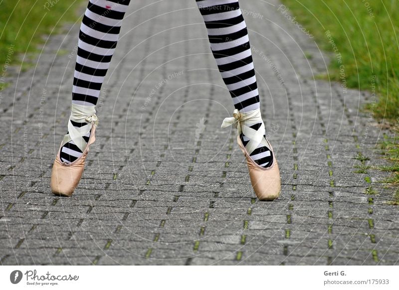 balletös Beine Fuß 1 Mensch Balletttänzer Gras Wege & Pfade Strumpfhose Schuhe stehen sportlich Ballettschuhe Asphalt gestreift Ringelstrümpfe vertikal