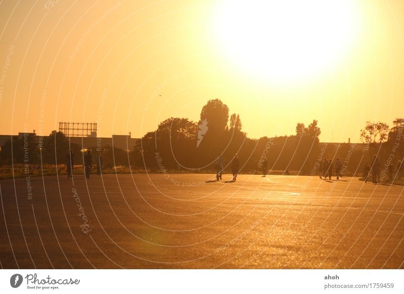 Tempelhofer Feld #4 Zufriedenheit Freizeit & Hobby Sommer Sonne Feierabend Leben Umwelt Landschaft Sonnenaufgang Sonnenuntergang Sonnenlicht Park Wiese Berlin