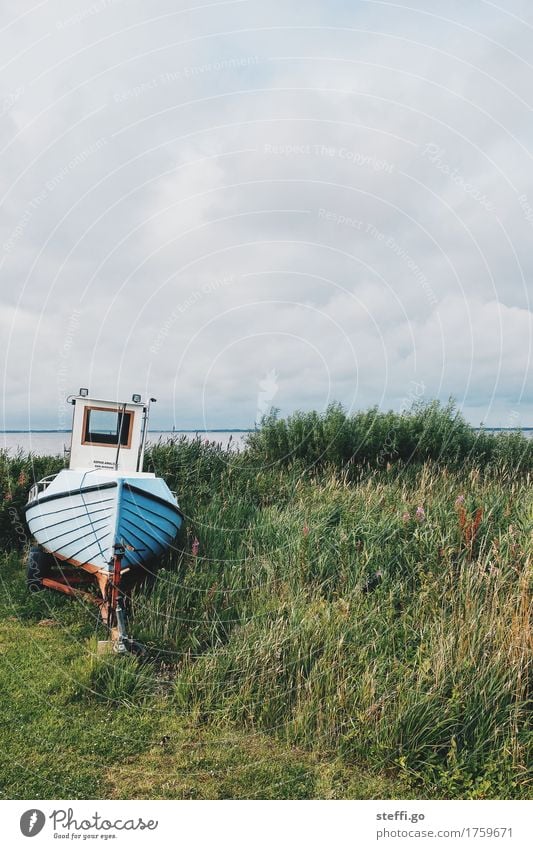 Sophie-Amalie Freizeit & Hobby Angeln Fischer Natur Küste Seeufer Nordsee Schifffahrt Bootsfahrt Fischerboot alt ästhetisch dunkel kalt maritim retro