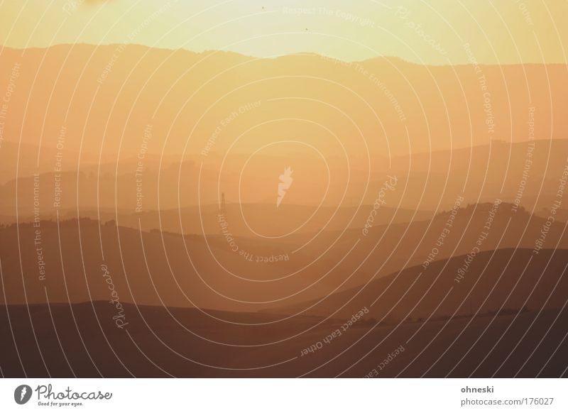 Gegenlicht Außenaufnahme Abend Dämmerung Licht Silhouette Sonnenlicht Sonnenstrahlen Sonnenaufgang Sonnenuntergang Panorama (Aussicht) Natur Landschaft Feuer