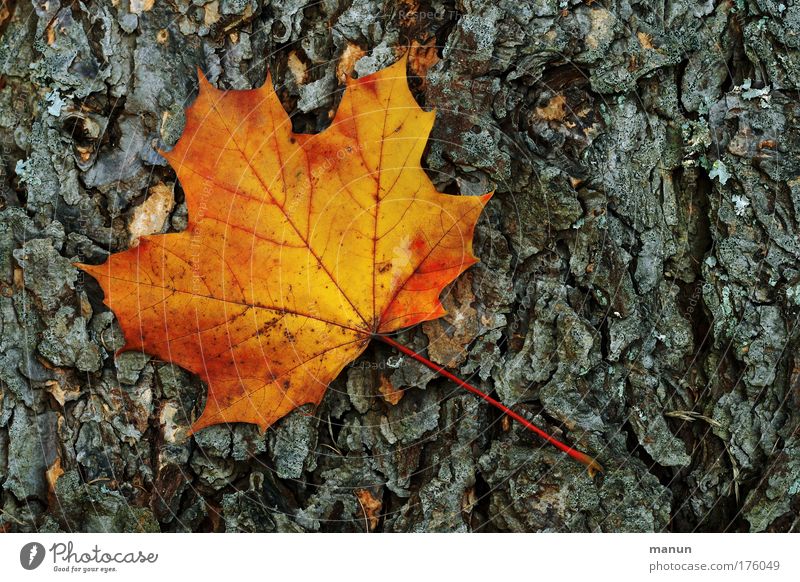 Abfall Farbfoto Gedeckte Farben mehrfarbig Muster Strukturen & Formen Textfreiraum rechts Hintergrund neutral Tag Kontrast Sonnenlicht Starke Tiefenschärfe