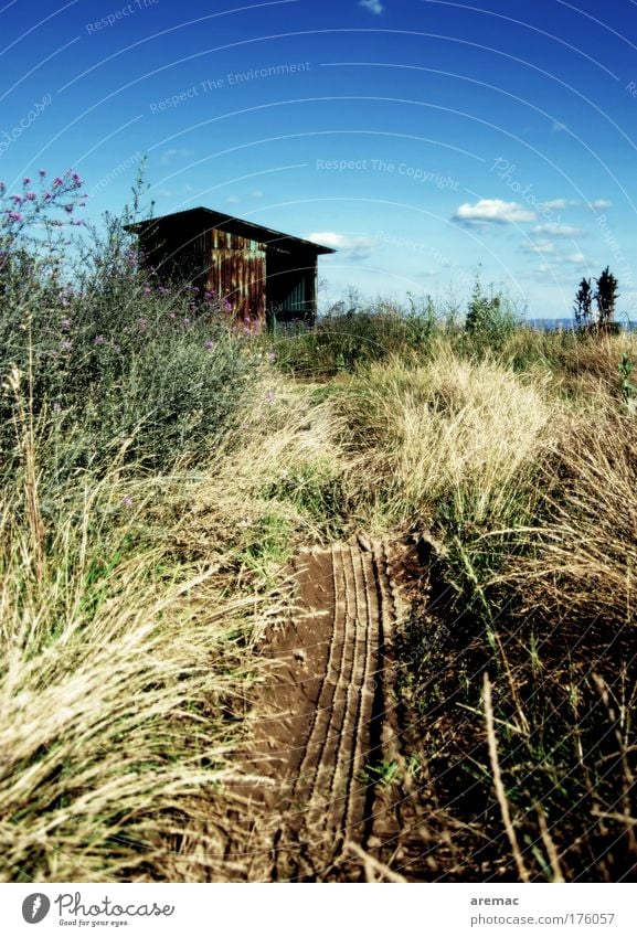 Traumhaus - ganz weit draussen Gedeckte Farben Außenaufnahme Textfreiraum oben Tag Haus Landschaft Erde Himmel Wolken Sommer Gras Sträucher Wiese Menschenleer