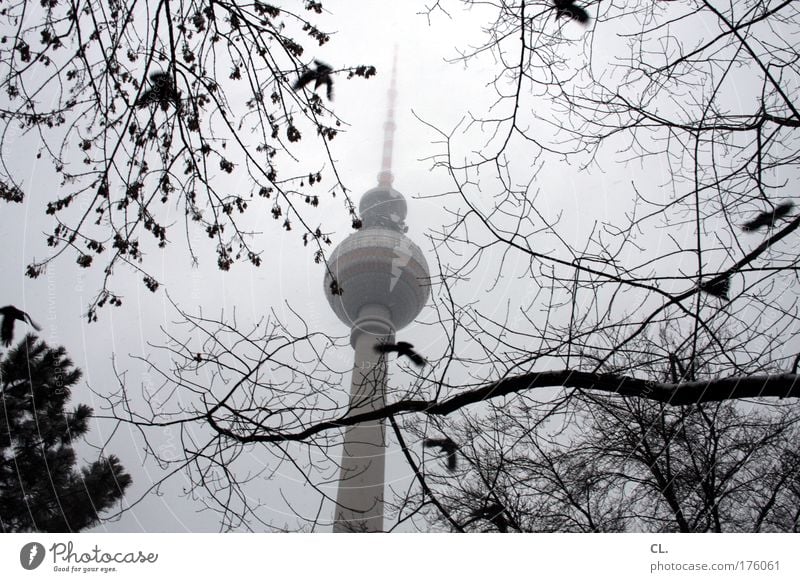 november Natur Landschaft Himmel Wolken Herbst schlechtes Wetter Nebel Schnee Hauptstadt Turm Gebäude Sehenswürdigkeit Wahrzeichen Sehnsucht Fernweh Berlin