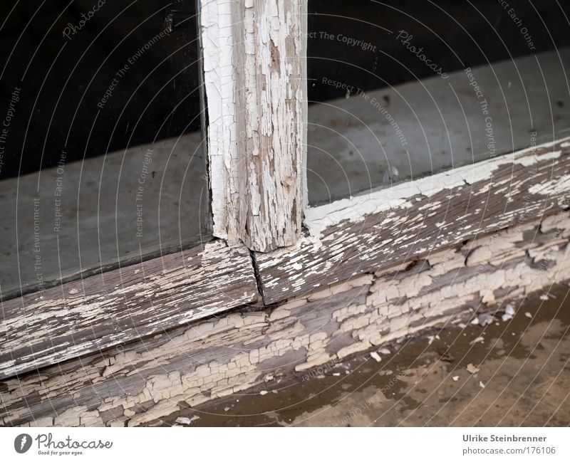 Absplitternder Lack am Holzrahmen eines alten Fensters Gedeckte Farben Außenaufnahme Detailaufnahme Textfreiraum oben Haus Renovieren Glas eckig hässlich grau