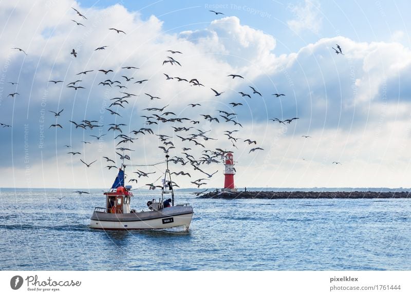 Fischerboot mit Möwen Fischereiwirtschaft Angeln Natur Landschaft Wasser Wolken Horizont Wetter Küste Ostsee Meer Warnemünde Rostock Deutschland Fischerdorf