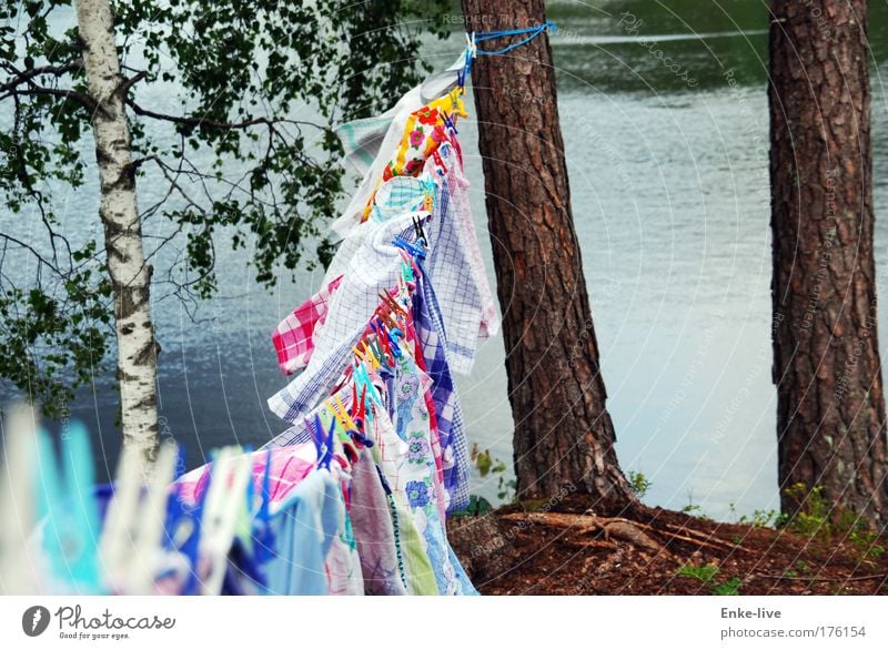 clothesline Farbfoto mehrfarbig Außenaufnahme Luftaufnahme Menschenleer Textfreiraum rechts Tag Totale Kunst Natur Klima Baum Seeufer Arbeit & Erwerbstätigkeit