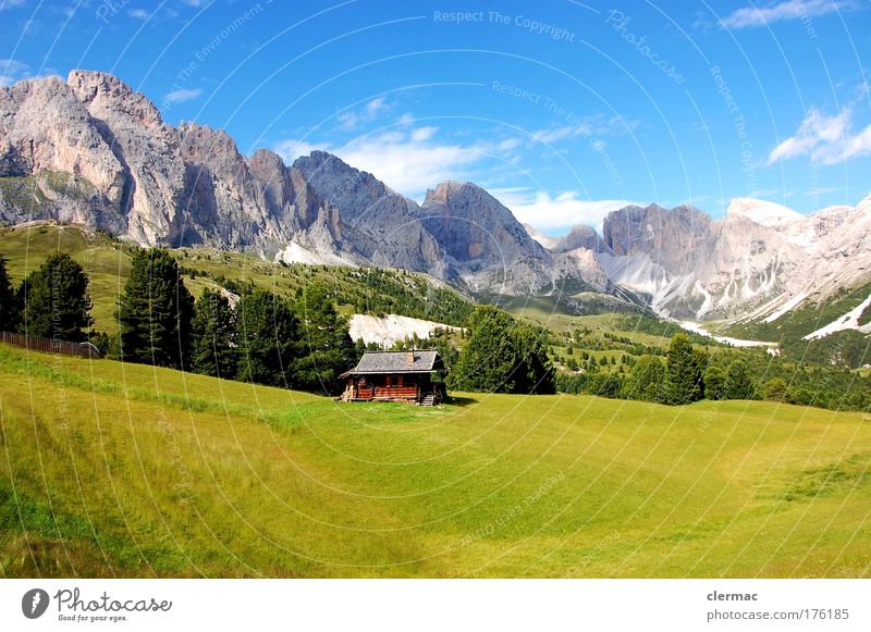 cisles alm Farbfoto Außenaufnahme Tag Blick nach vorn Ferien & Urlaub & Reisen Tourismus Freiheit Sommer Sommerurlaub Sonne Berge u. Gebirge wandern Gras