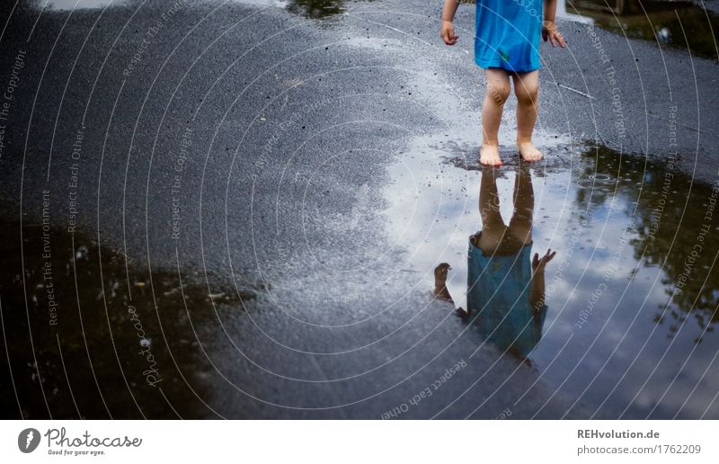 Pfützenspaß Mensch maskulin Kind Kleinkind Junge 1 1-3 Jahre Himmel Wolken Sommer Wetter schlechtes Wetter Regen Spielen springen Fröhlichkeit Glück nass Freude