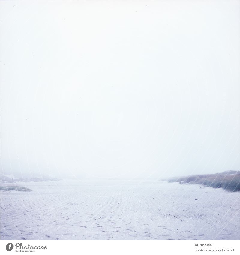 Strandlosigkeit Gedeckte Farben Tag High Key Ferien & Urlaub & Reisen Ausflug Meer Winter Joggen Kunst Maler Natur Landschaft Sand Wassertropfen Nebel