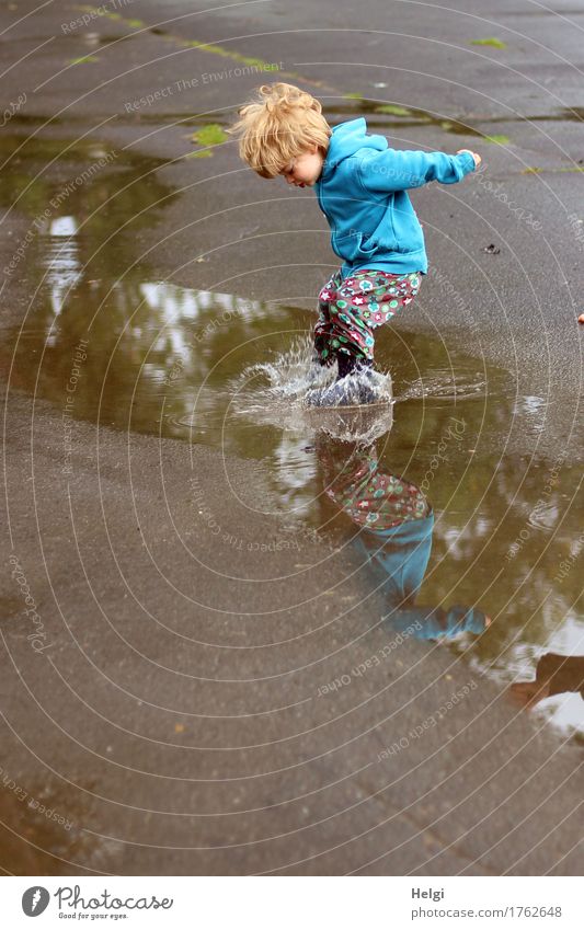 kleiner Junge mit bunter Hose und blauer Jacke hat Spaß und springt schwungvoll in eine Pfütze Mensch feminin Kleinkind Kindheit 1 1-3 Jahre Umwelt Wasser