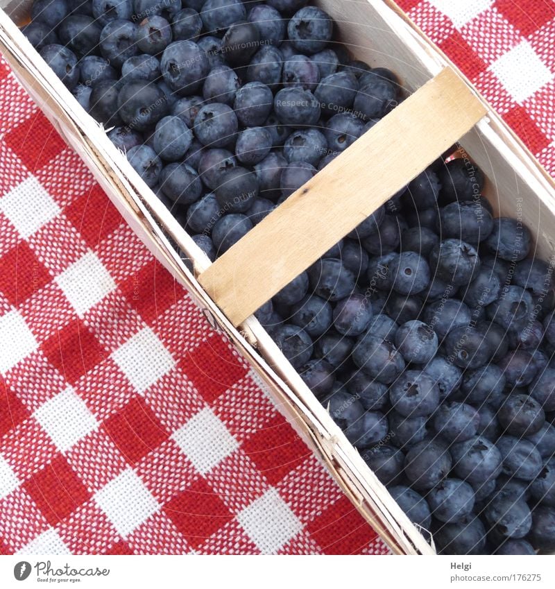 Heidelbeeren in einem Spankorb auf einer rot-weiß-karierten Tischdecke Farbfoto mehrfarbig Außenaufnahme Detailaufnahme Menschenleer Tag Vogelperspektive