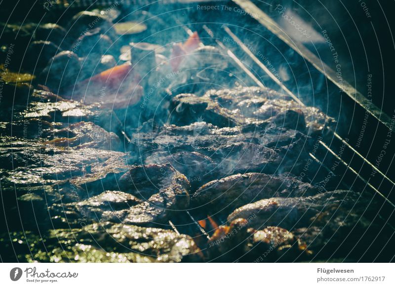 Mittag Lebensmittel Fleisch Wurstwaren Ernährung Essen Mittagessen Abendessen Büffet Brunch Festessen Picknick Grillen Grillsaison Grillkohle Grillrost Griller