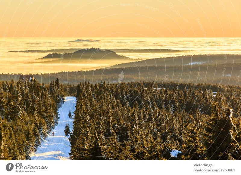 Blick vom Fichtelberg ins Nebenlmeer Richtung Tschechien Freizeit & Hobby Ausflug Ferne Freiheit Winter Schnee Winterurlaub Berge u. Gebirge Wintersport