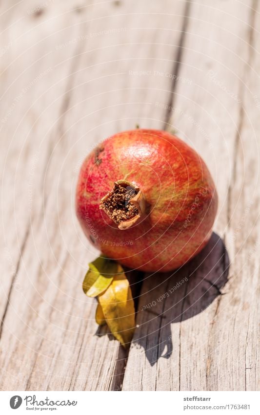 Roter Granatapfelfrucht Punica granatum Lebensmittel Frucht Dessert Ernährung Essen Frühstück Bioprodukte Vegetarische Ernährung Diät Pflanze Baum Blatt braun