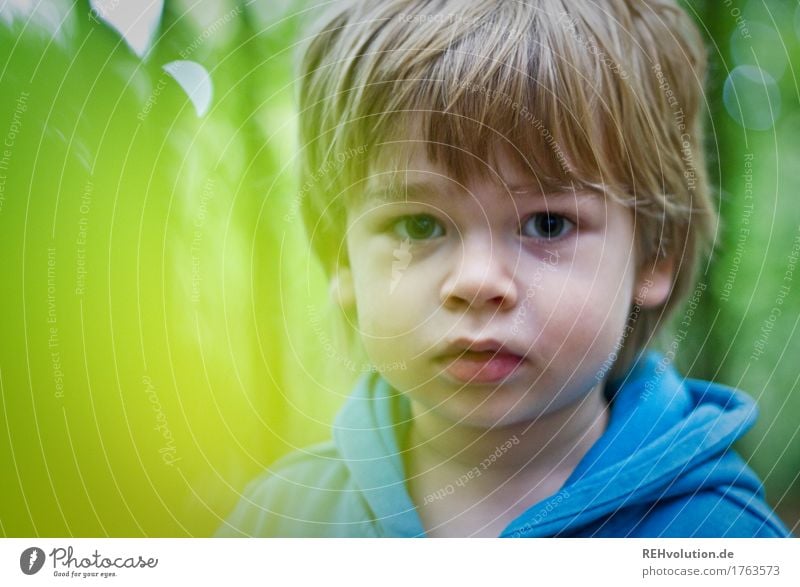 im Wald Mensch maskulin Kind Kleinkind Junge Kindheit Gesicht 1 1-3 Jahre Umwelt Natur Pullover Haare & Frisuren blond klein natürlich niedlich blau grün