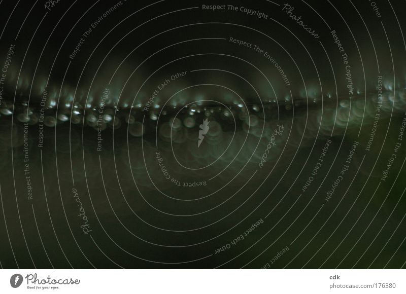 Spinnennetz nach dem Regen | Leuchtspur im Dunklen. Farbfoto Gedeckte Farben Außenaufnahme Nahaufnahme Detailaufnahme Makroaufnahme Strukturen & Formen